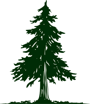 DEODAR INVESTMENTS